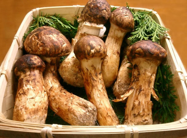 costy05 10 aliments les plus chers au Japon