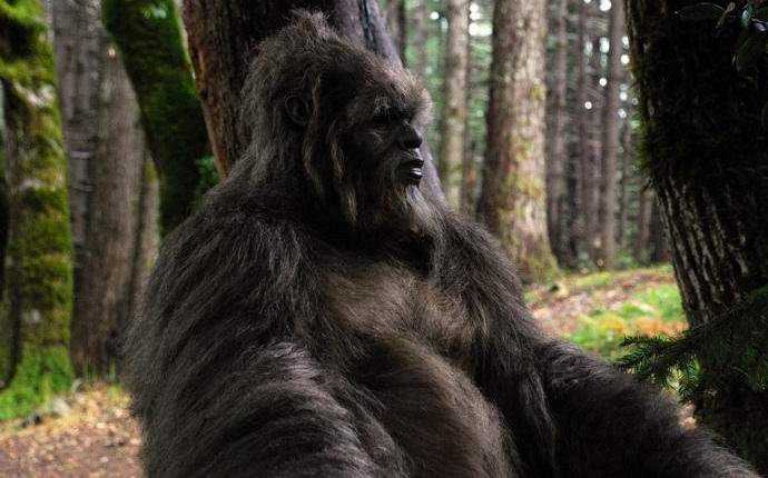 L'Américain a filmé avec le drone d'un bigfoot