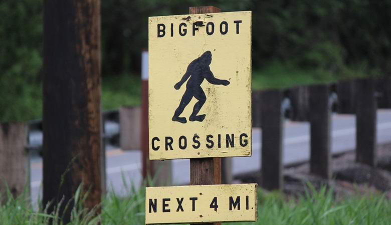 La ville américaine a reconnu Bigfoot comme son animal officiel