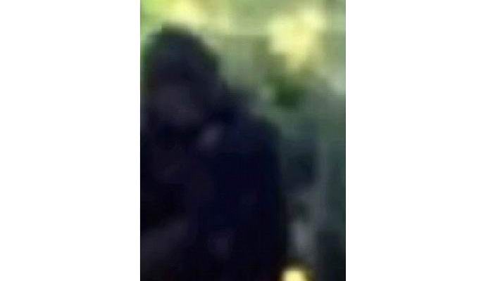 Un policier américain a photographié le yéti