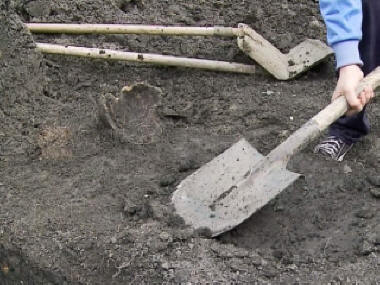 Des scientifiques anglais ont trouvé des traces d'un homme âgé d'au moins 800 mille ans
