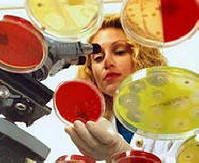 Les antibiotiques ralentissent le processus de vieillissement