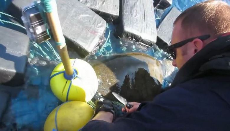 Les garde-côtes américains ont attrapé une tortue avec 800 kg de cocaïne