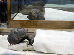 Scientifiques britanniques: Toutankhamon est décédé dans un accident