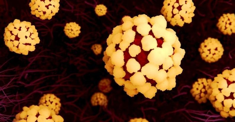 Le nombre de morts en Chine est monté en flèche.  Voici ce que nous savons et ne savons pas sur le coronavirus COVID-19 