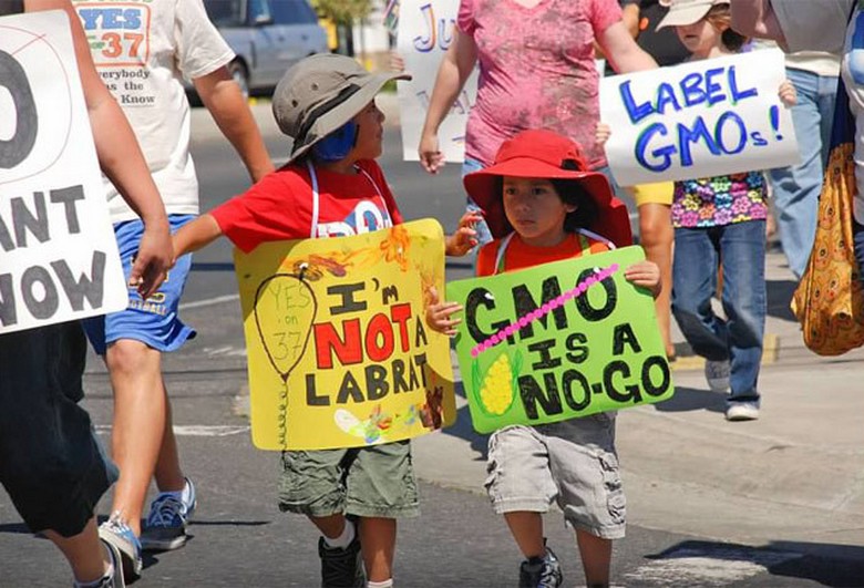 Ce que vous devez savoir sur les OGM et les personnes qui s'opposent aux aliments génétiquement modifiés