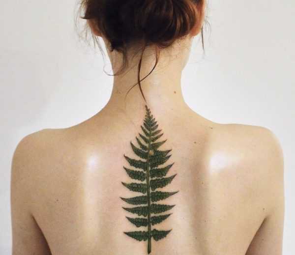 Tatouage de fougère  