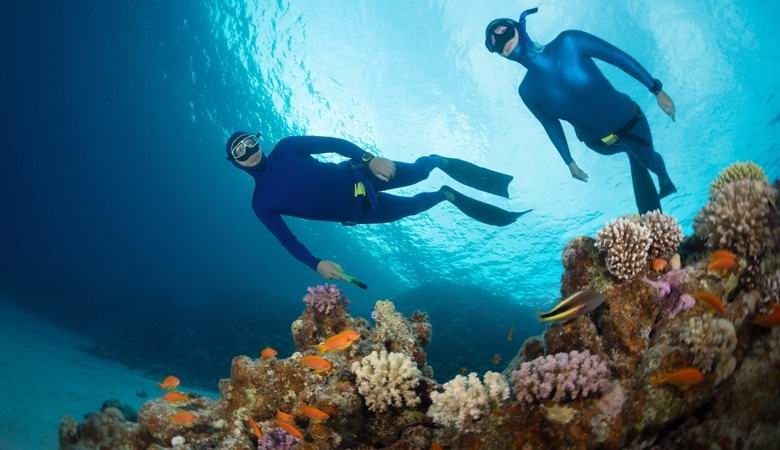 Les plongeurs se plaignent de sons effrayants provenant des profondeurs de la mer Rouge.