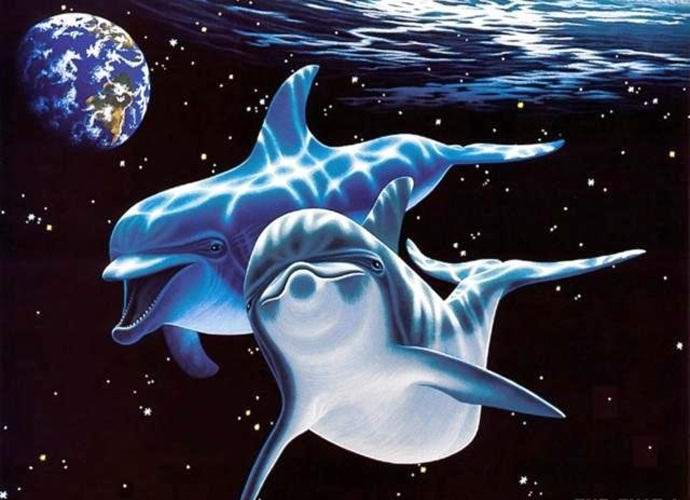 Les dauphins sont-ils des extraterrestres?