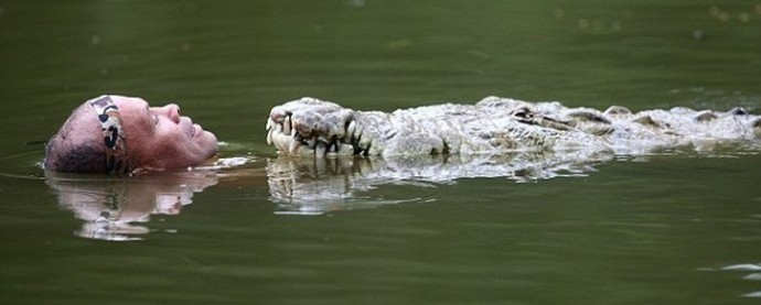 Fantastique amitié entre l'homme et le crocodile