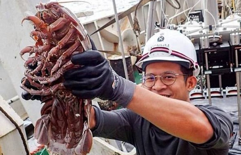 Un cafard sous-marin géant trouvé au fond de l'océan