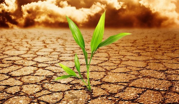 Et où est votre Apocalypse promise?