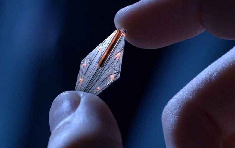 Le célèbre ufologue affirme: la chipisation des personnes par les extraterrestres bat son plein