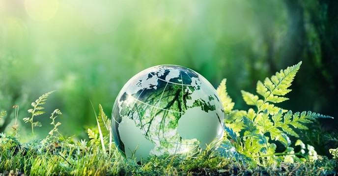 Des changements catastrophiques dans la biosphère de la Terre découverts par des scientifiques