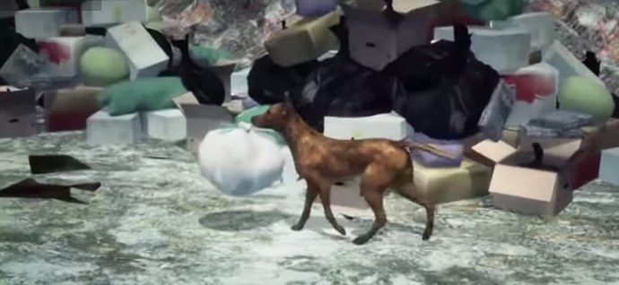 Quand les chiens sont plus décents que certaines mères