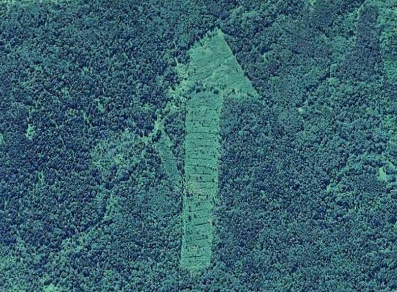 Les forêts de la région de Smolensk ont ​​surpris les chercheurs avec des symboles mystérieux