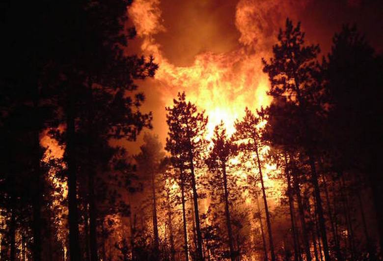 Les incendies de forêt au bord du mysticisme