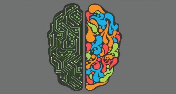 Les hémisphères gauche et droit du cerveau humain ne sont pas divisés en émotionnels et logiques