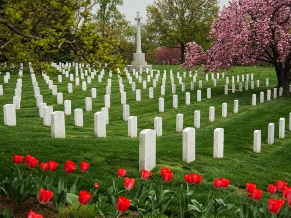 pourquoi tu ne peux pas aller au cimetière après le déjeuner 