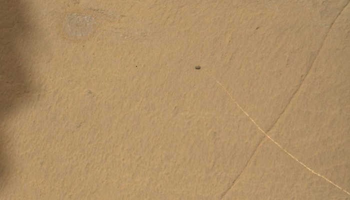 Des pierres vivantes sont apparues sur Mars