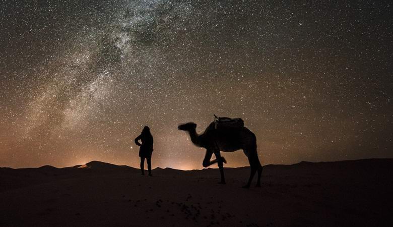 Des êtres arabes sur la vidéo, des automobilistes trompeurs