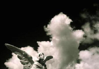 Les signes du ciel