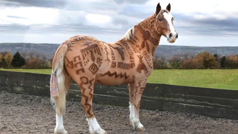 Toiletteur insolite - coiffeur de chevaux