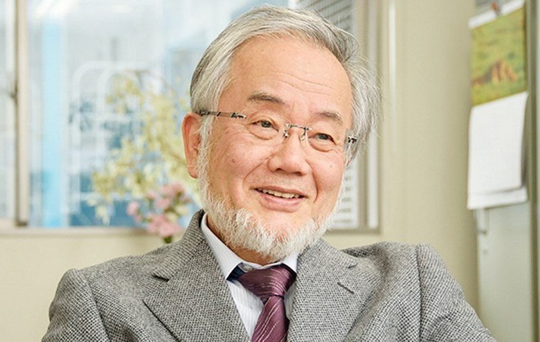 Prix Nobel pour la découverte de l'autophagie