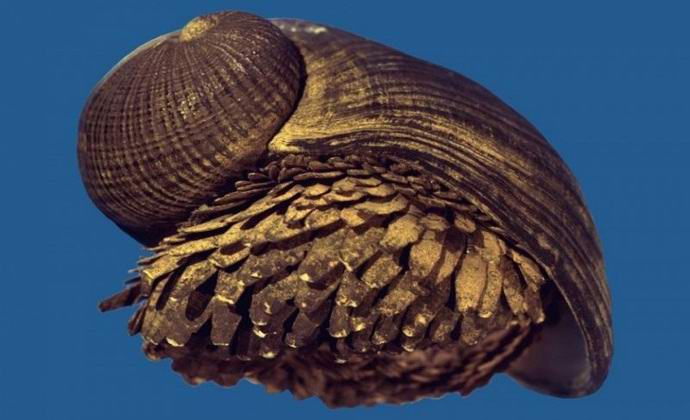Trouvé un escargot avec une coquille métallique