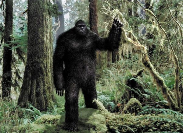 Des témoins confirment l'existence du Bigfoot