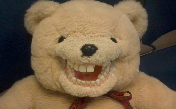 Un ours en peluche ressuscité filmé devant la caméra