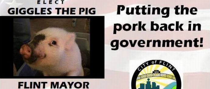 Ils veulent faire d'un cochon le maire de la ville américaine