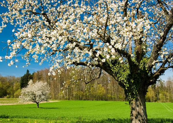 signe le 3 mai 