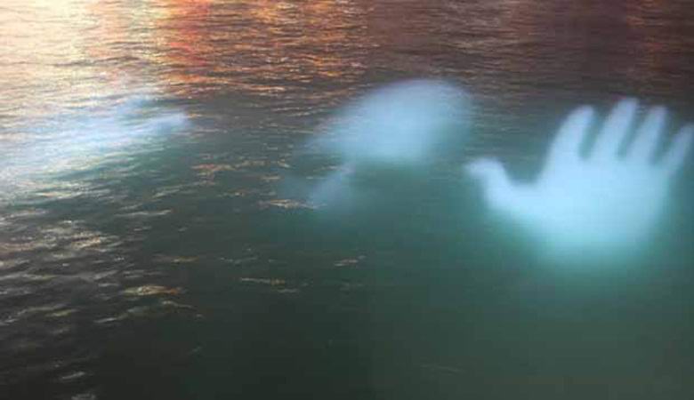 Le fantôme qui a surgi sous l'eau a fait peur aux plongeurs
