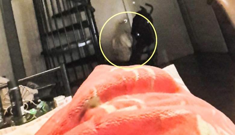 Photographié par un fantôme inquiétant assis sur le sol d'un appartement