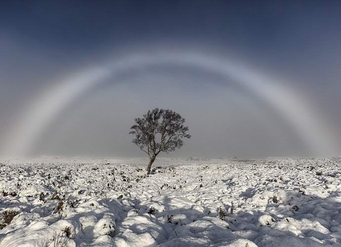 L'écossais a attrapé un arc-en-ciel blanc rare