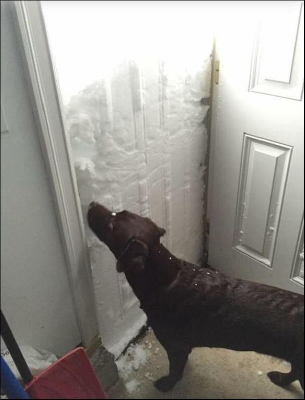 Anomalie de la tempête de neige américaine, tempête