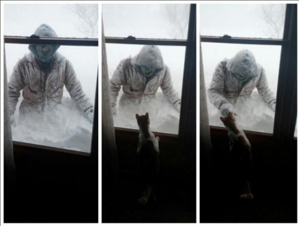 Anomalie de la tempête de neige américaine, tempête