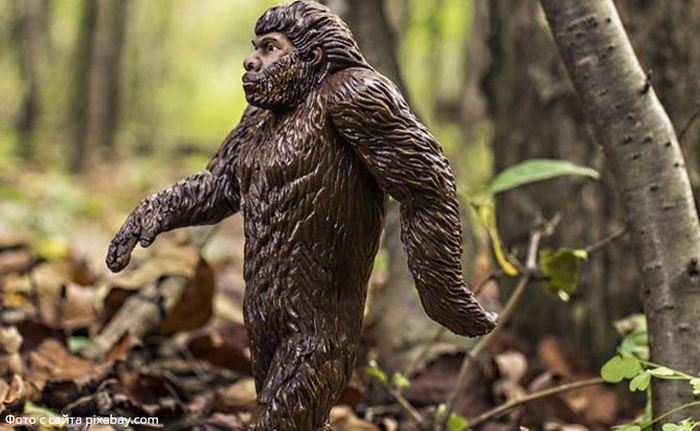 Bigfoot a été repéré à deux endroits en Russie à la fois