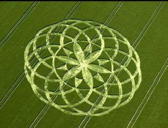 Des foules de gens en Angleterre, en Russie et en Allemagne cherchent à voir les crop circles de leurs propres yeux.