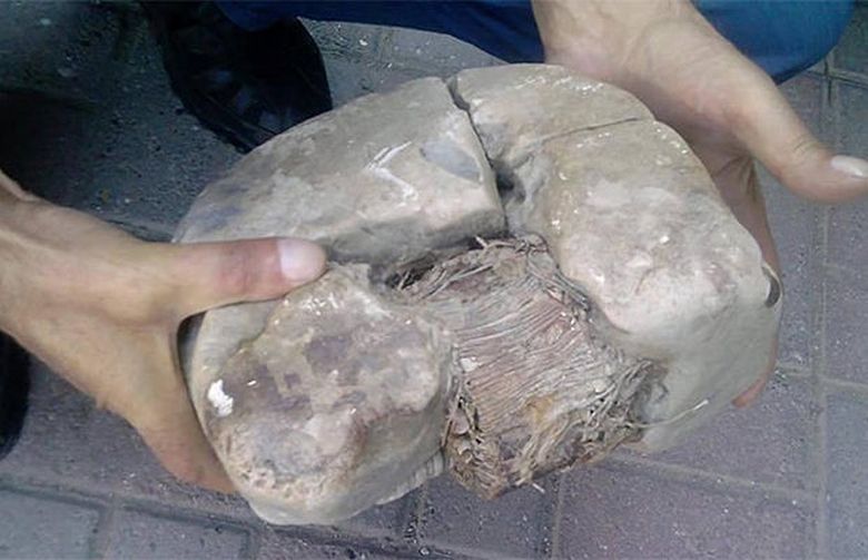 Les scientifiques explorent un artefact vieux de 20 000 ans. Trouvé sur le territoire de la chaîne de montagnes Shar Planin au Kosovo.
