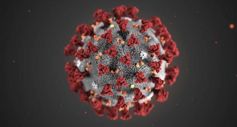 Les scientifiques mettent en garde: le coronavirus chinois sera bientôt déclaré pandémie 