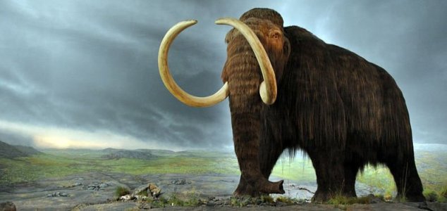 Les scientifiques ont lancé un gigantesque projet de clonage