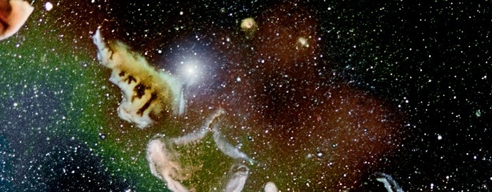 Des photos incroyables: un microcosme dans l'objectif
