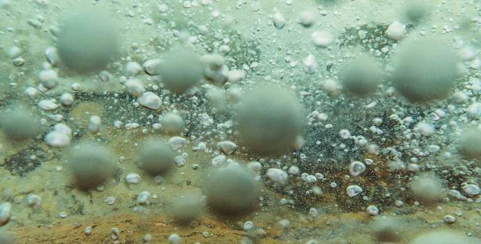 Une rivière bouillonnante légendaire trouvée en Amazonie
