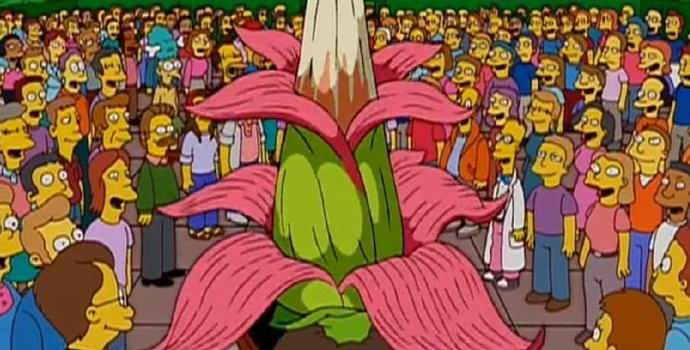 En Belgique, une fleur géante malodorante a fleuri
