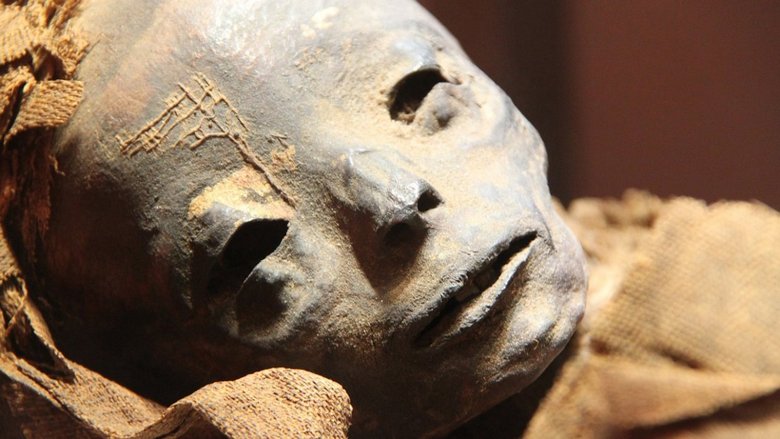 En Egypte, découverte d'une momie au visage humanoïde