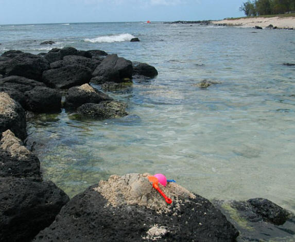 L'une des plages de Maurice (photo Ebbe Hartz).