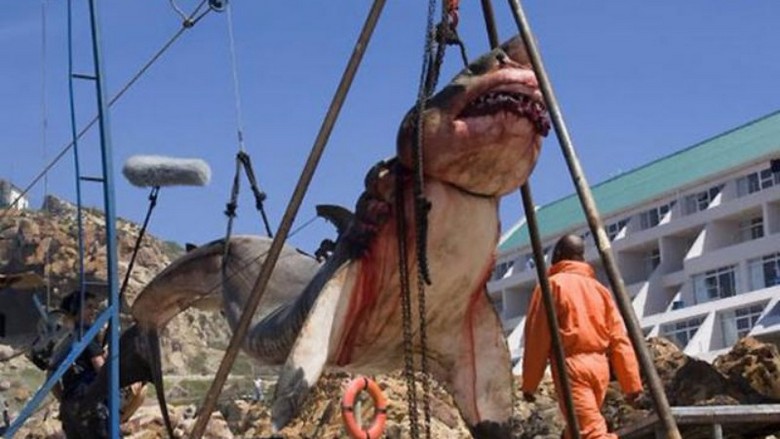 Un requin préhistorique de quinze tonnes est capturé au Pakistan.