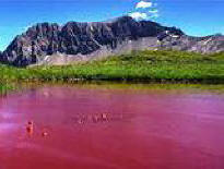 A Samara, l'eau du lac est devenue rouge